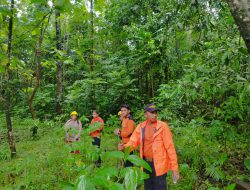 Pencarian SAR Gabungan Seorang Lansia Hilang Dalam Hutan Dusun Panyikkokang Kab. Gowa