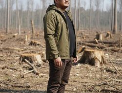 Perambahan Hutan: Saatnya Pemerintah Berhenti Saling Menyalahkan