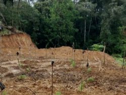 Perusakan Hutan Tombolopao, 8 Saksi Diperiksa di Polres Gowa