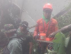 Penemuan Black Box Pesawat ATR 42-500, di Bawah ke Posko Balocci