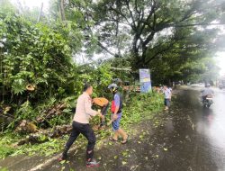 Hujan Deras Picu Pohon Tumbang di Bontonompo, Satu Mobil Tertimpa