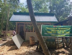Progres Bedah RTLH TMMD ke-127 TA 2026 di Dusun Bintono Capai 48 Persen