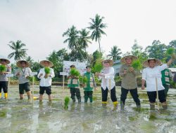 Bupati Barru Pimpin Tanam Serentak Optimasi Lahan, Pertanian Jantung  Ekonomi, Dongkrak Pertumbuhan 5,16 Persen
