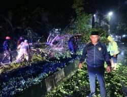 Polsek Barru Gerak Cepat Tangani Pohon Tumbang di Jalan Jenderal Sudirman, Kelurahan Sumpang Binangae