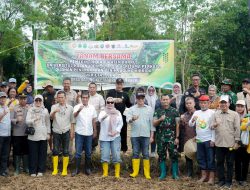 Bupati Barru Tanam Jagung JJ UH 01, Stop Impor Benih, Wujudkan Mandiri Benih Pangan Nasional