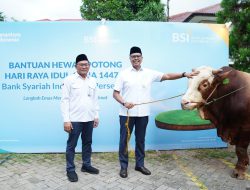 Wujud Nyata Ekonomi Berkeadilan: BSI Salurkan Lebih dari 24 Ribu Hewan Kurban, Naik 57%