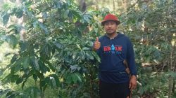Dari Ketua DPRD Sulsel hingga Bupati Barru, Andi Ina Konsisten Perjuangkan Kebangkitan Kopi Gattareng